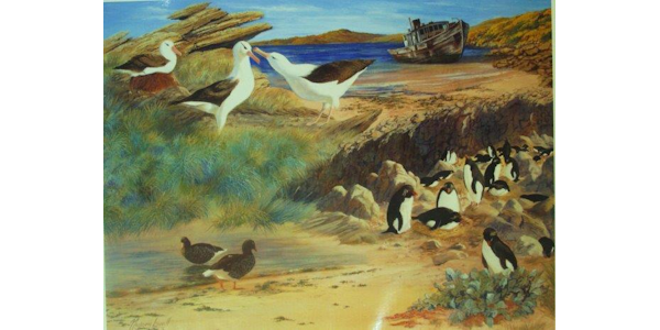 Marcaroni Penguins