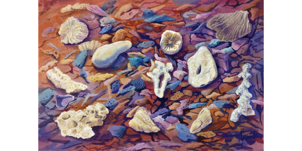 Sarina Beach Collection